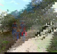Meningie Lions Walking Trail - New South Wales Tourism 