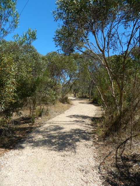 Meningie Lions Walking Trail - New South Wales Tourism  2