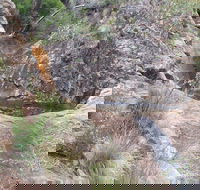 Mill-bullah Walking Track - New South Wales Tourism 