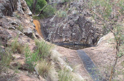 Mill-bullah Walking Track - New South Wales Tourism  0