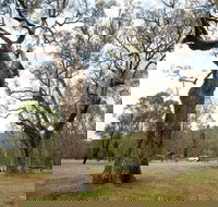 Moolarben Picnic Area - New South Wales Tourism 