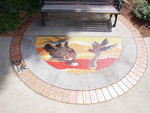 Mosaic Pathway (WASS) - New South Wales Tourism  2