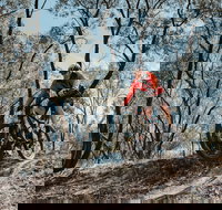 Mountain Bike Trails Deniliquin - New South Wales Tourism 