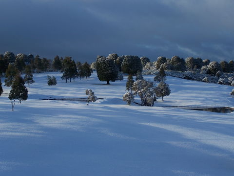 Mountain Vista Golf Club - New South Wales Tourism  2