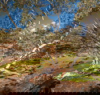 Mount Grenfell Historic Site - New South Wales Tourism 