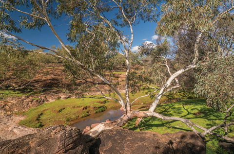Mount Grenfell Historic Site - New South Wales Tourism  0