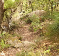 Mount Carnarvon Walking Track - New South Wales Tourism 