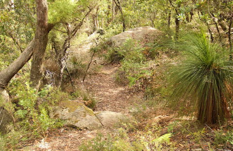 Mount Carnarvon Walking Track - New South Wales Tourism  0
