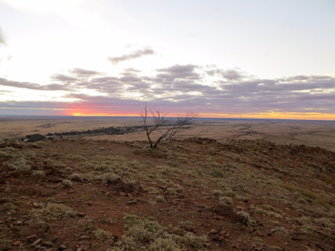 Mundi Mundi Plains - New South Wales Tourism  0