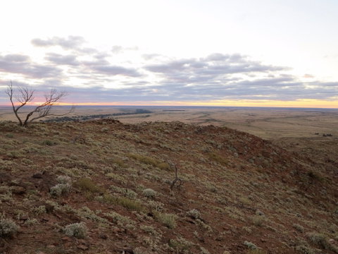 Mundi Mundi Plains - New South Wales Tourism  2