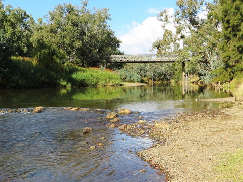 Namoi River And Woolshed Reserve - New South Wales Tourism  0