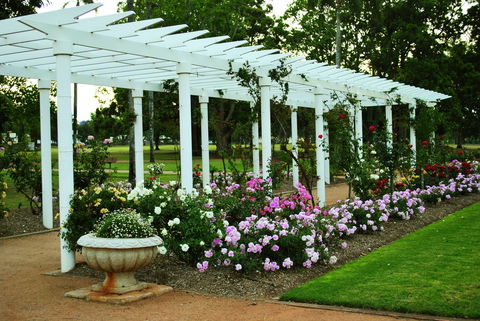 Newtown Park State Rose Garden - New South Wales Tourism  1
