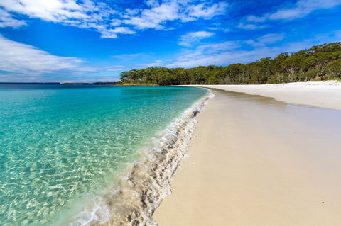 NSW Jervis Bay National Park - New South Wales Tourism  0