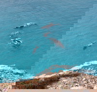 Nullarbor National Park - New South Wales Tourism 