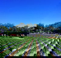Palmview - New South Wales Tourism 