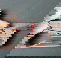 Phoenix Creations - New South Wales Tourism 