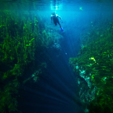 Piccaninnie Ponds Conservation Park - New South Wales Tourism  0