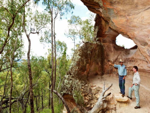 Pilliga Forest - New South Wales Tourism  0