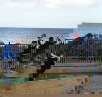 Port Vincent Putt Putt - New South Wales Tourism 