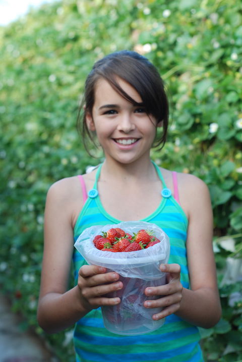 Ricardoes Tomatoes And Strawberries Farm, Port Macquarie - New South Wales Tourism  0