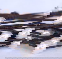 Sacs on Jenkins - New South Wales Tourism 