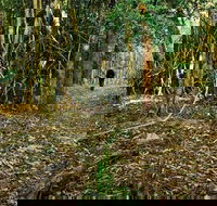 Sand track walk north - New South Wales Tourism 