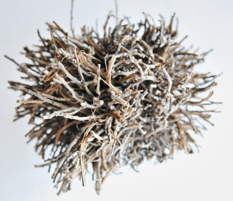 Serpentine Gallery - New South Wales Tourism  0