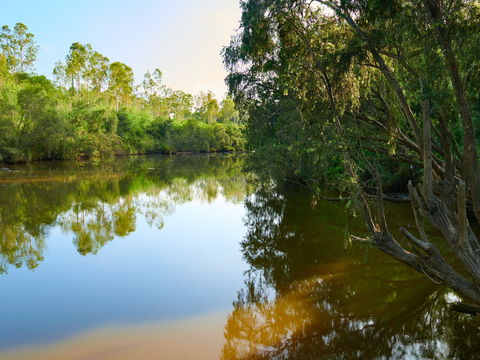Shapcott Park - New South Wales Tourism  1