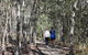Six Mile Creek, Bluff Lookout And Little White Rock Trails - thumb 0