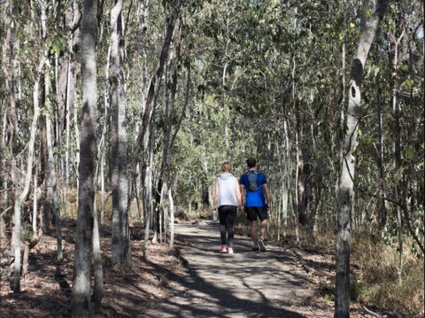 Six Mile Creek, Bluff Lookout And Little White Rock Trails - New South Wales Tourism  0