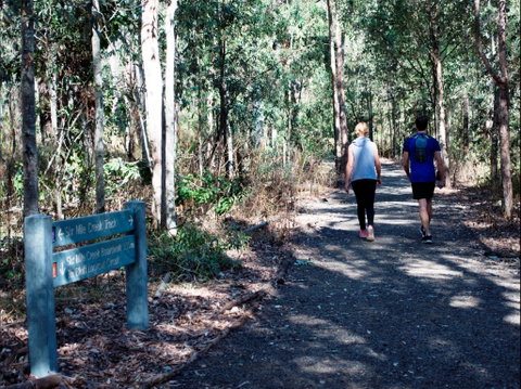 Six Mile Creek, Bluff Lookout And Little White Rock Trails - New South Wales Tourism  2
