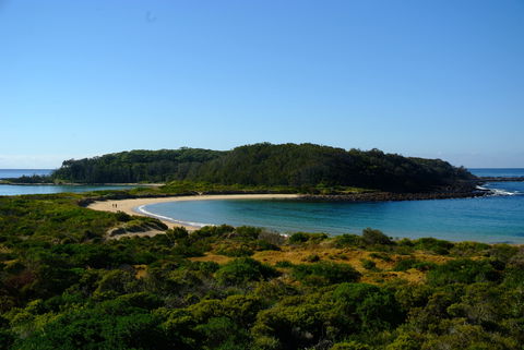 Snorkelling Broulee Island - New South Wales Tourism  0