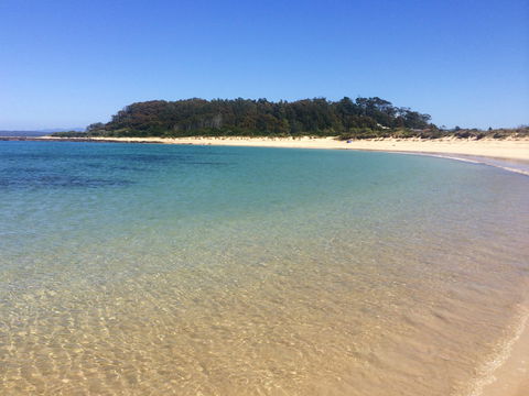 Snorkelling Broulee Island - New South Wales Tourism  2