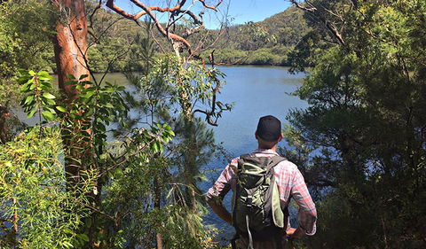 Sphinx Memorial To Bobbin Head Loop Track - New South Wales Tourism  0