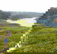 Station Creek - New South Wales Tourism 