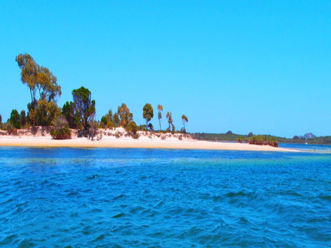 Strawbridge Point - New South Wales Tourism  0