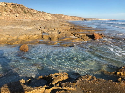Streaky Bay - Back Beach - New South Wales Tourism  0