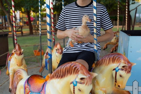 Swan Valley Cuddly Animal Farm - New South Wales Tourism  2