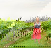 Swan Valley - New South Wales Tourism 