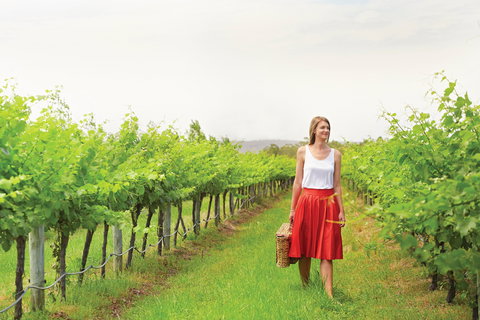 Swan Valley - New South Wales Tourism  0