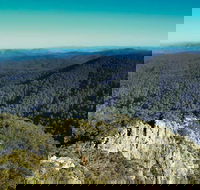 Tapin Tops National Park - New South Wales Tourism 