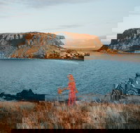 The Nut - New South Wales Tourism 