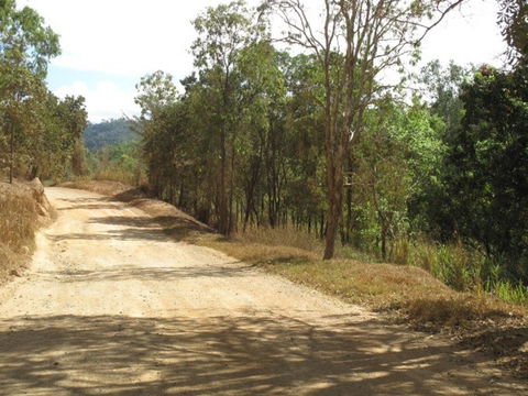 The Bloomfield Track - New South Wales Tourism  0