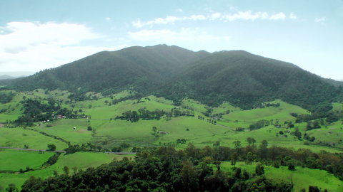 The Bellbird - New South Wales Tourism  1