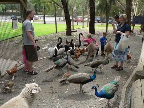 The Big Rocking Horse And The Toy Factory - New South Wales Tourism  2