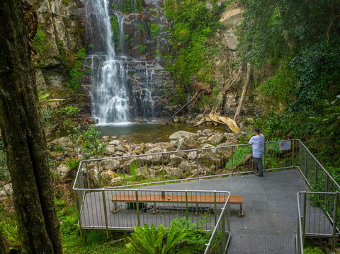 The Falls Walk, Budderoo National Park - New South Wales Tourism  0
