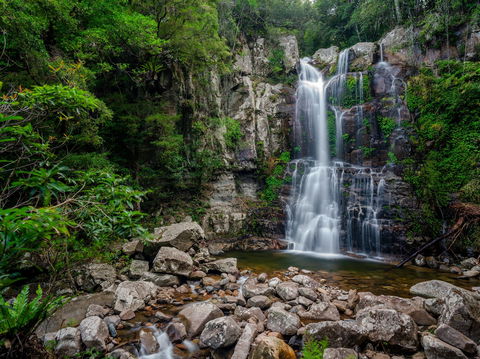 The Falls Walk, Budderoo National Park - New South Wales Tourism  1