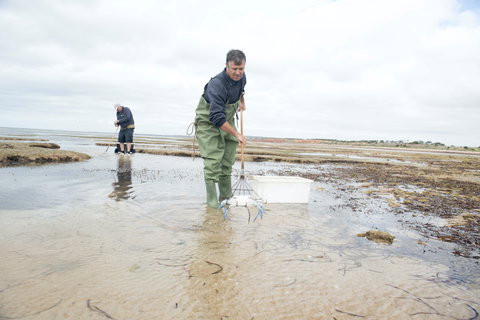 Tiddy Widdy Beach - New South Wales Tourism  1