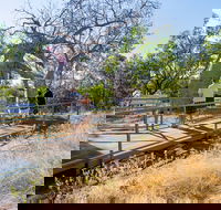 Timber Creek - New South Wales Tourism 