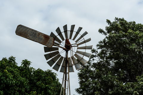Tinaberries - New South Wales Tourism  0